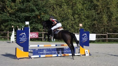 pension de chevaux, 77